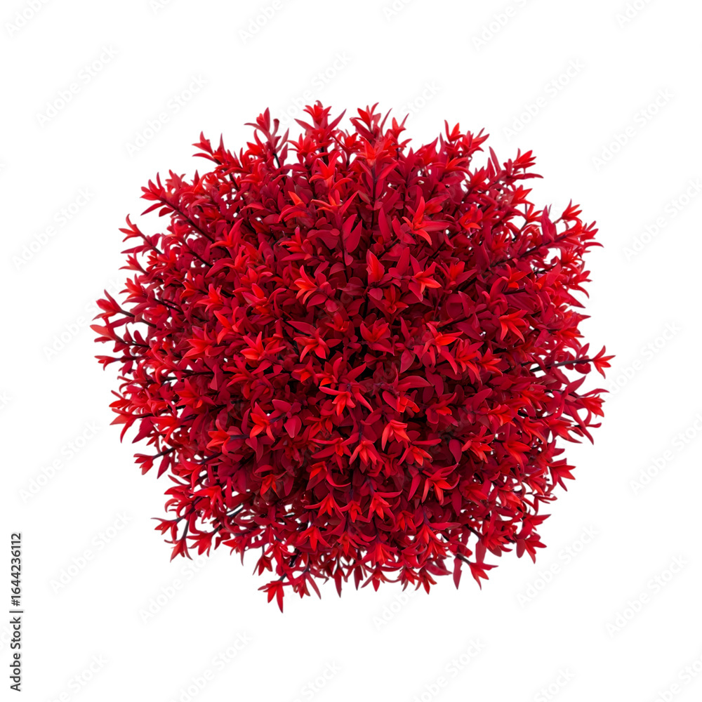 Naklejka premium Aerial View of Vivid Red Plant, Lush Creeper in Full Bloom, Dramatic Black Background