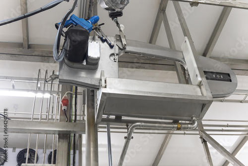 Slika na platnu meat processing plant abattoir, brisket saw with balancer, cattle slaughter mach