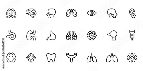 Human Organ Systems Anatomy Glyph Pack – Minimalist Line Art Cardiovascular, Respiratory, Digestive, Nervous, Muscular, Skeletal, Urinary, and Endocrine Systems – Medical Education Vector Set