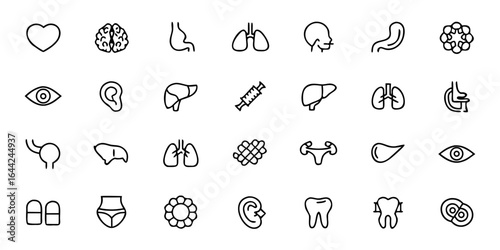 Internal Organs & Body Function Anatomy Glyph Bundle – Minimalist Line Art Heart, Lungs, Liver, Kidneys, Intestines, Pancreas, Bladder, Thyroid, and Digestive System – Medical Vector Icons 
