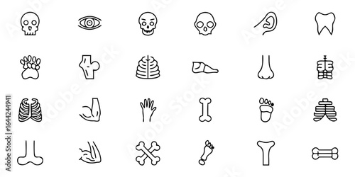 Skeletal & Muscular Anatomy Glyph Icon Bundle – Minimalist Line Art Skeleton, Muscles, Joints, Tendons, Ligaments, Bone Marrow, and Posture – Fitness & Therapy Vector Icons