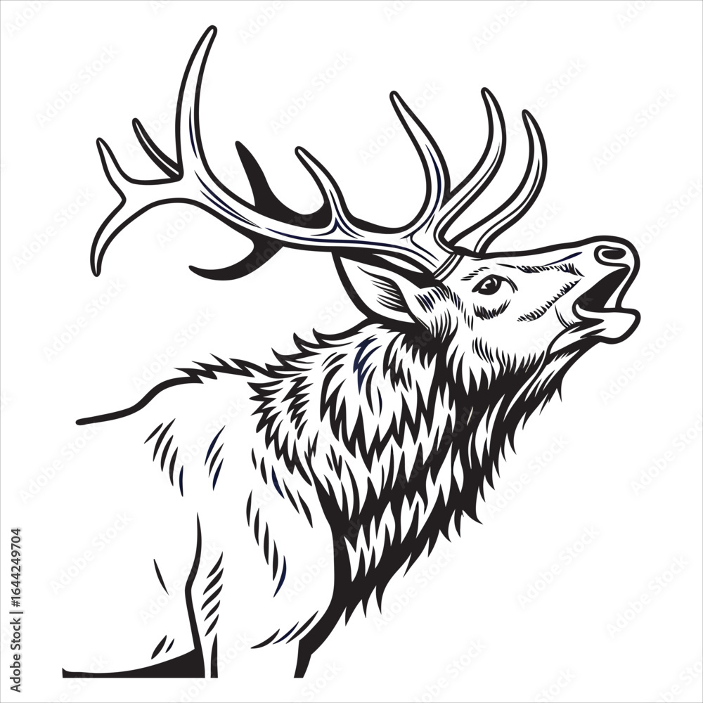Fototapeta premium ELK Vector 