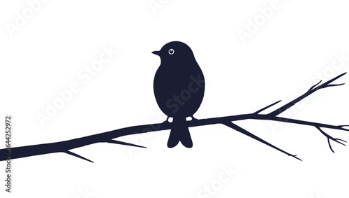 Bird Perched on Branch Silhouette Against White

