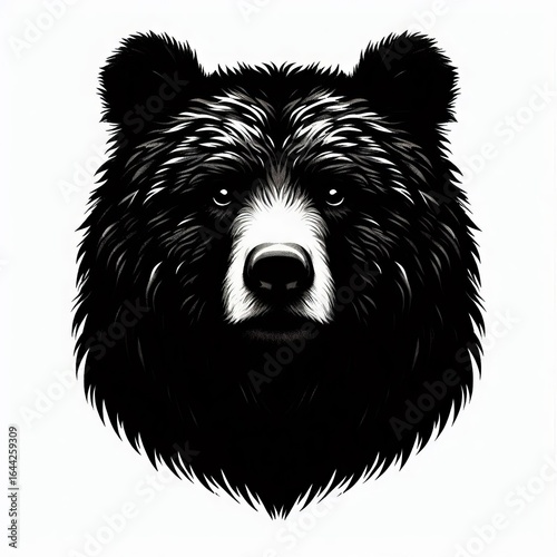 Intense black bear portrait with detailed fur texture