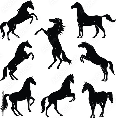 Horse silhouette bundle set vector with white background