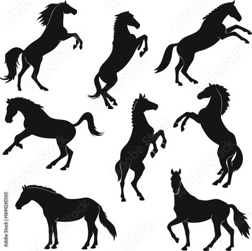 Horse silhouette bundle set vector with white background