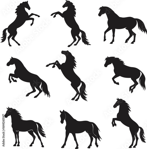 Horse silhouette bundle set vector with white background