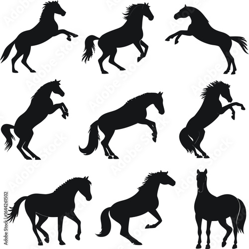 Horse silhouette bundle set vector with white background