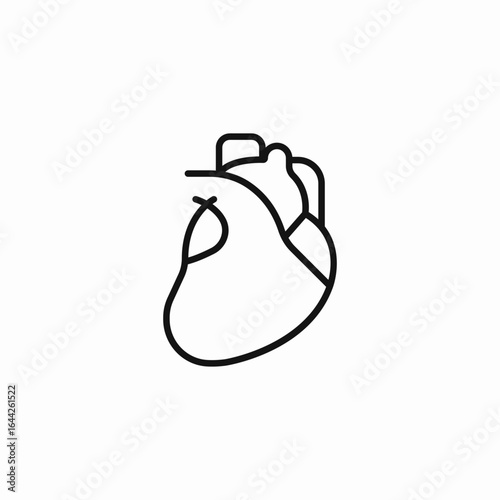 human heart diagram icon sign vector