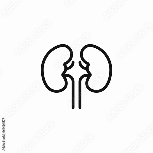 human kidneys organ icon sign vector