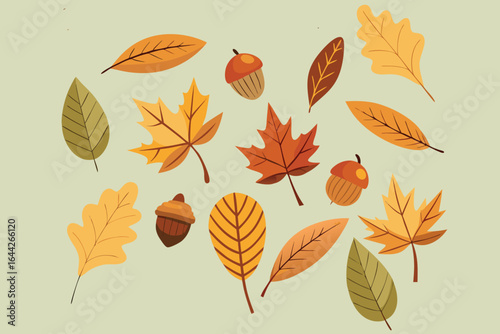 Assortment of autumn leaves and acorns fall foliage