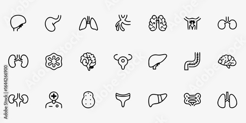 Internal Human Organ Systems Icon Pack – Minimalist Line Art Cardiovascular, Respiratory, Digestive, Nervous, Urinary, and Endocrine Organs – Medical & Educational Vector Icons