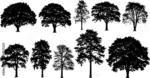 various deciduous trees silhouettes on the white background
