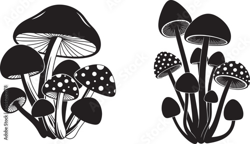 Vector art of black and white illustration of various mushrooms with spotted caps in a group