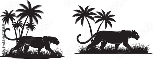 Vector art of two panthers walking through tall grass with palm trees, isolated on white background