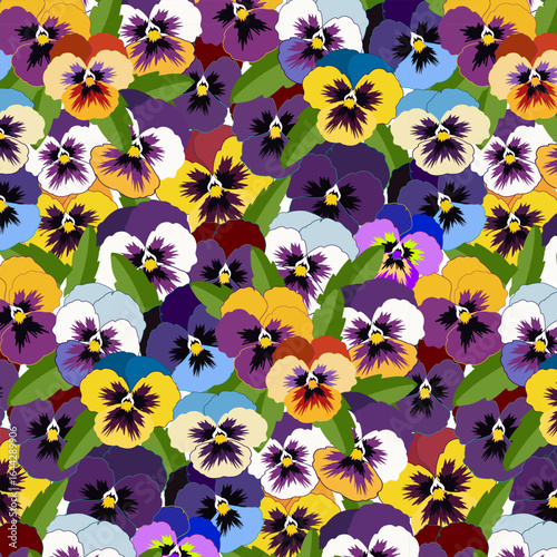Pansies on a transparent background.Vector seamless pattern with bright multi-colored pansies on a transparent background.