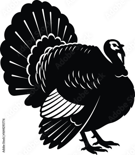 Vector art of silhouette of a turkey with its tail fanned out isolated on white background