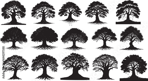 Collection of sixteen majestic oak tree silhouettes:  black and white vector illustrations, perfect for design projects requiring a strong, timeless, and nature-inspired aesthetic.