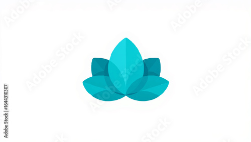 Succulent displays vibrant rosette on a clean white surface

