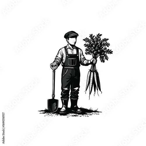 Engraving of Farmer with Carrots and Shovel, drawn in an engraved, woodcut style with fine details sketch engraving vector illustration. Scratch board imitation