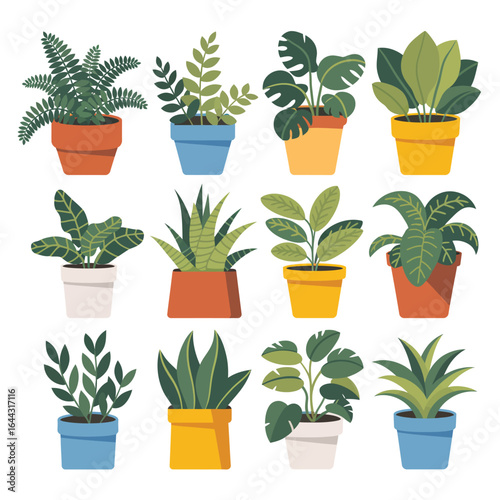 Collection of twelve potted houseplants in colorful terracotta and ceramic pots