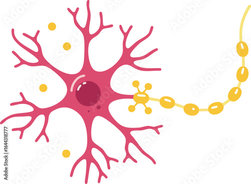 Neuron cell with dendrites and axon illustration showing nervous system structure in biology vector graphic 