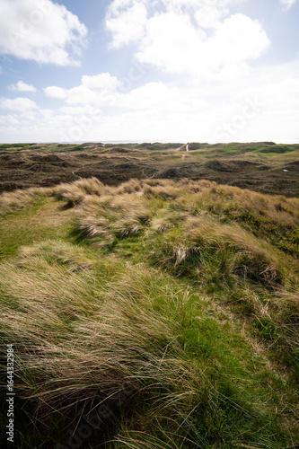 Dünenlandschaft an der Nordsee