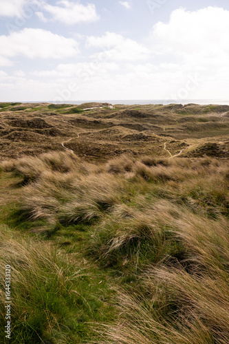 Dünenlandschaft an der Nordsee