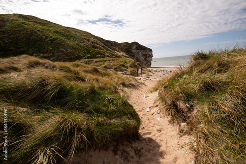 Weg durch die Dünen