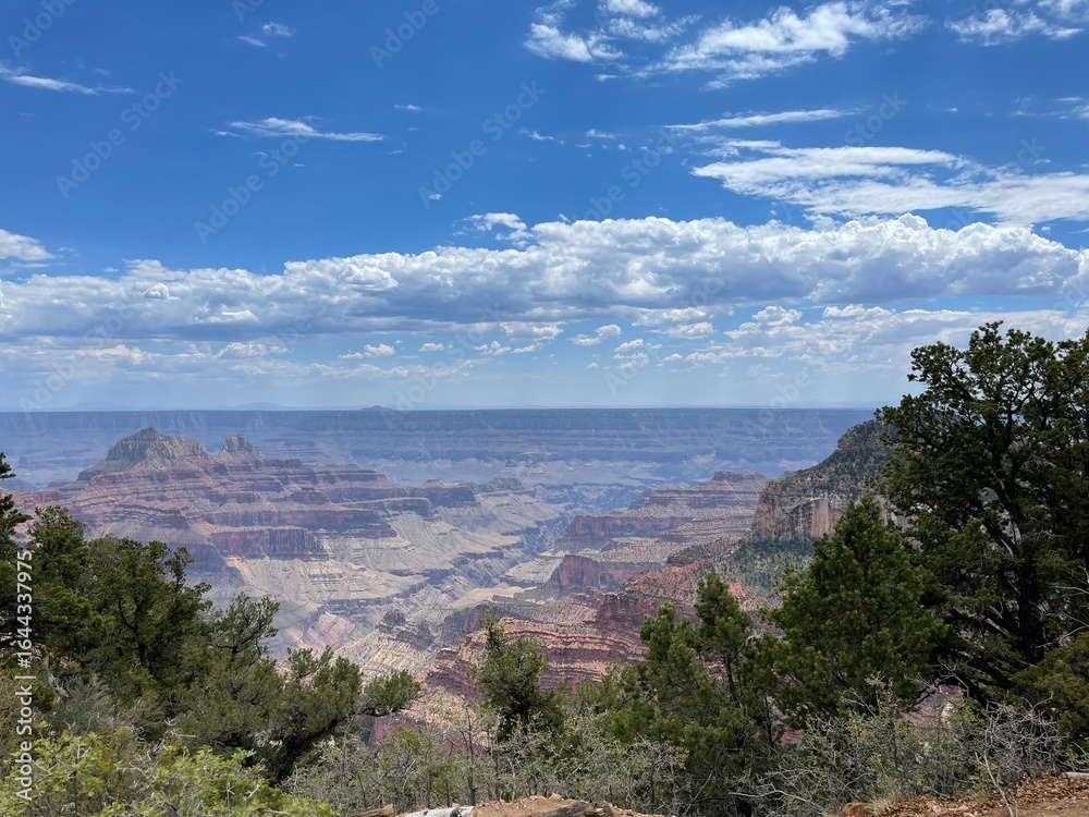 Naklejka premium grand canyon national park