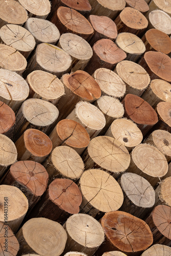 Beautifully stacked and accommodated cut wood pattern