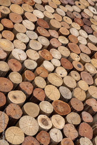 stack of logs Beautifully stacked and accommodated cut wood pattern