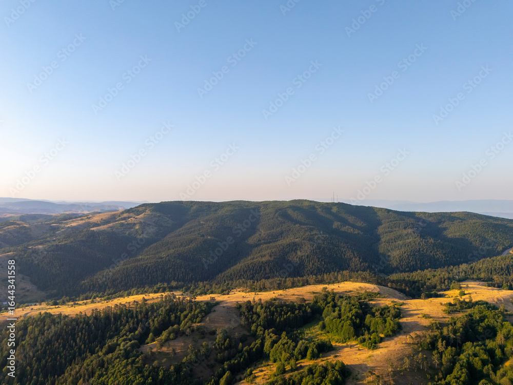 Obraz premium Aerial drone view of a forest-covered hill in Turkey, surrounded by sunlit fields and valleys under a clear blue sky. The serene rural landscape highlights nature’s untouched beauty.