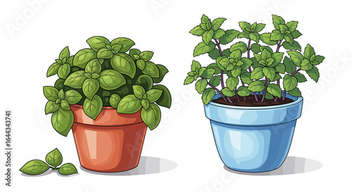 Potted Herb Plants: Basil and Mint in Colorful Containers