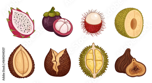 Colorful collection of tropical fruits including dragon fruit and durian