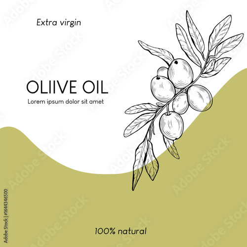 Olive Oil Package design, Line art style, minimalistic, perfect for extra virgin olive oil labels, branding and organic product packaging.