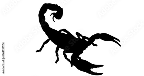 Object black scorpion silhouette vector illustration predatory arachnid design dangerous animal clip art isolated on white vector