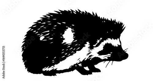 Object find detailed black and white vector image of a spiny echidna animal for graphic design and illustration use vector
