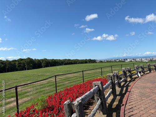 さっぽろ羊ヶ丘展望台の景色