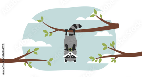 Cute vector illustration of a raccoon hanging upside down from a tree branch amidst a serene landscape
