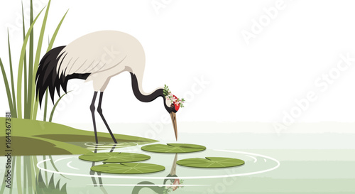 Elegant red-crowned crane adorned with flowers touching lily pads illustration