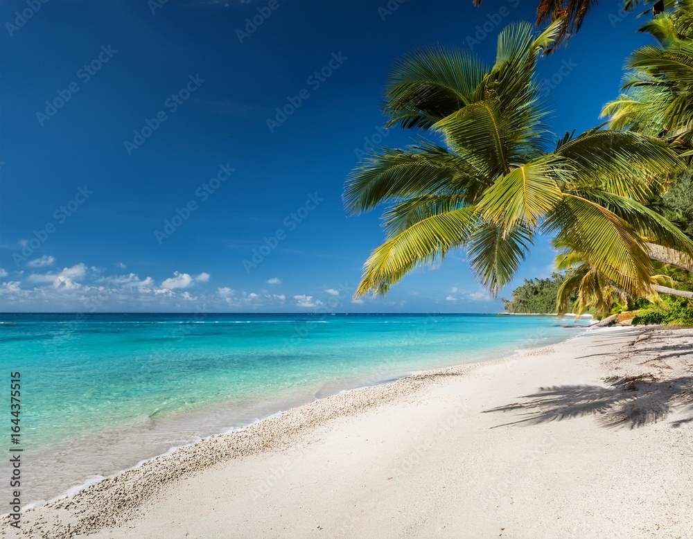 Fototapeta premium serene tropical beach with palm trees and clear blue waters