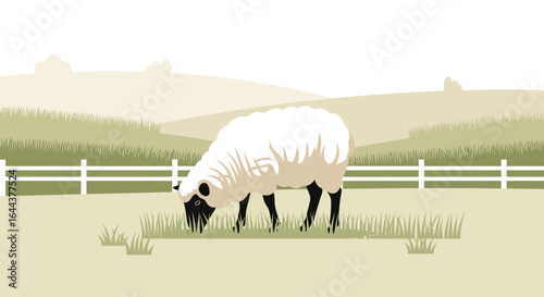 Graphic illustration of a sheep grazing peacefully in a pasture with a white fence and rolling hills backdrop