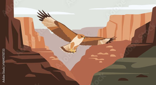 Hawk soars over a desert canyon landscape creating a sense of freedom and adventure through the wilderness