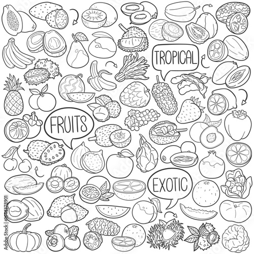 Fuits Doodle Icons. Food Clipart Hand Drawn Symbol Design Black and White Line Art.