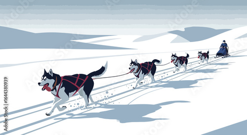 Illustrated Husky Dog Sled Team Racing Across Snowy Winter Landscape in Vector Style