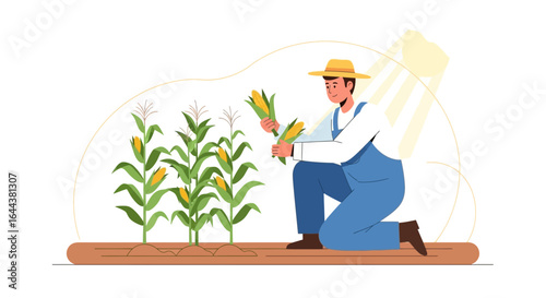 Illustration depicting a farmer harvesting ripe corn in a field under sunlight displaying agricultural work and healthy food production