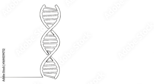 Continuous one-line drawing of a DNA double helix. Minimalist scientific illustration of a genetic spiral molecule.