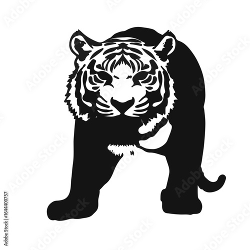 Sumatran Tiger Animal