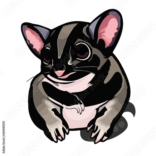 Sugar Glider Animal